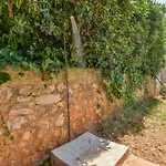 Laura بورتوفيرّايو